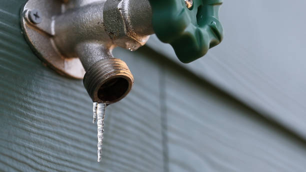 Best Shower Repair Services  in Holly Ridge, NC